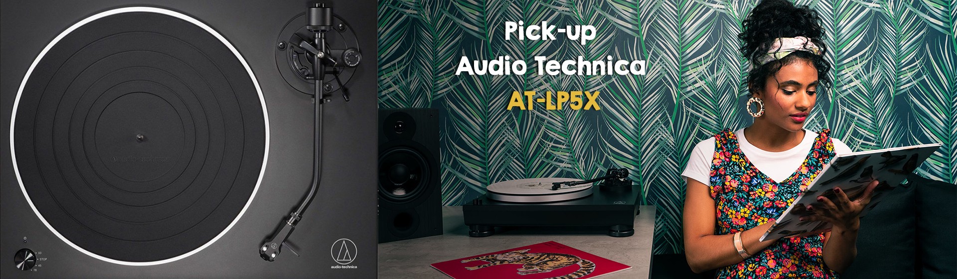 Pick-up Audio Technica AT-LP5X